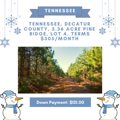 Tennessee land for sale