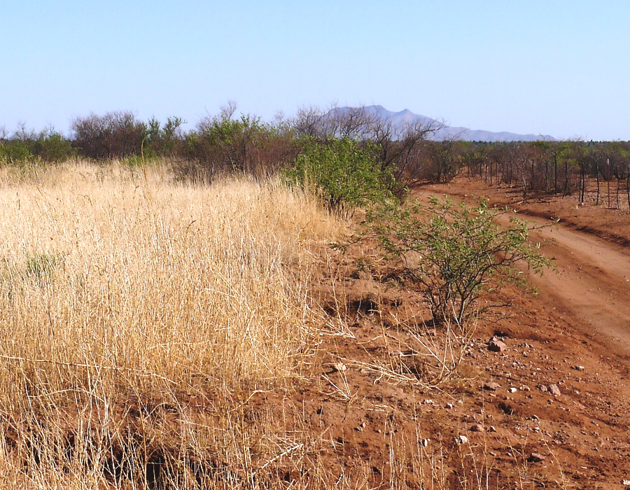 Arizona Cochise County 0 19 Acres Arizona Cochise College Park   CochiseCollegeParkAZMain4A 