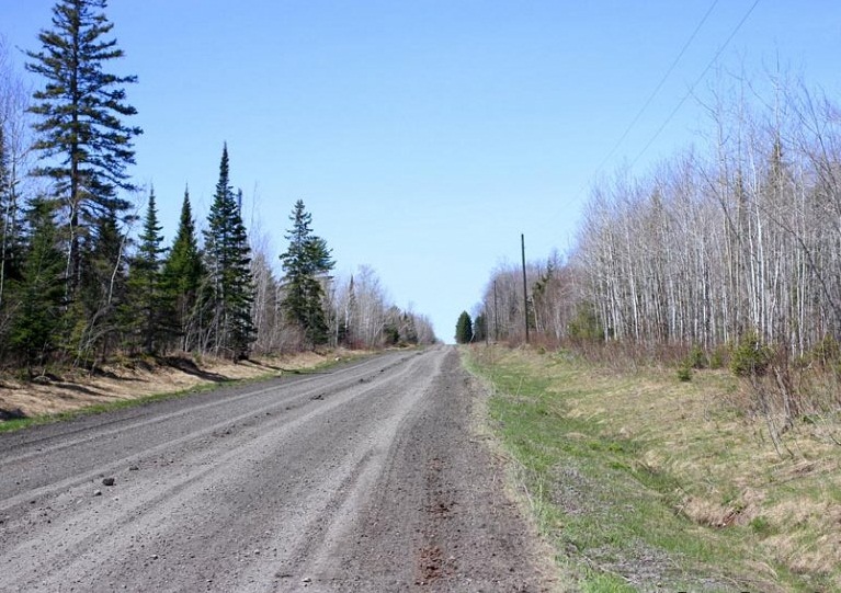 Michigan, Baraga County, 20 Acre Abby Point. TERMS $429/Month